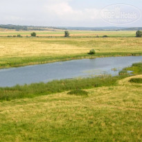 фото из отзыва ID 1387735