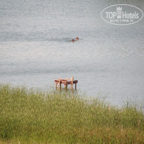 фото из отзыва ID 1387735