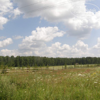 фото из отзыва ID 1387735