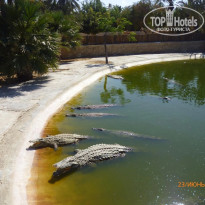 фото из отзыва ID 1384114