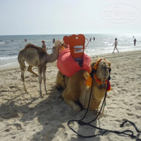 фото из отзыва ID 1384114