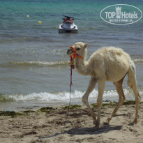 фото из отзыва ID 1384114