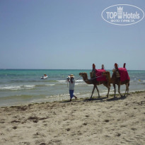 фото из отзыва ID 1384114