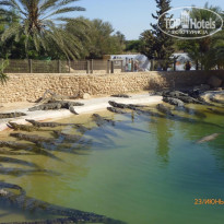 фото из отзыва ID 1384114