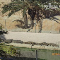 фото из отзыва ID 1384114