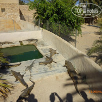 фото из отзыва ID 1384114