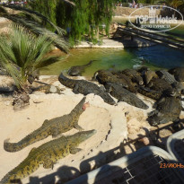 фото из отзыва ID 1384114