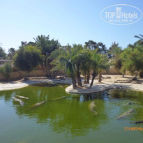 фото из отзыва ID 1384114