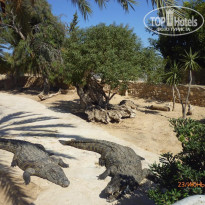 фото из отзыва ID 1384114