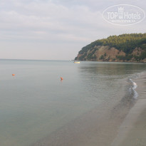 фото из отзыва ID 1390030