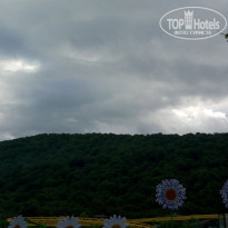 фото из отзыва ID 1390031