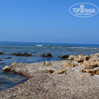 фото из отзыва ID 1390032