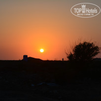 фото из отзыва ID 1390032