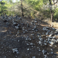 фото из отзыва ID 1390129