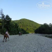 фото из отзыва ID 1390295