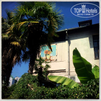 фото из отзыва ID 1390325