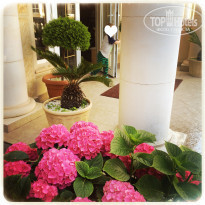 фото из отзыва ID 1390325