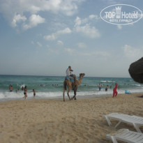 фото из отзыва ID 1390353