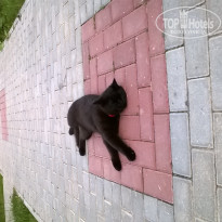 фото из отзыва ID 1390525