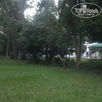 фото из отзыва ID 1390539