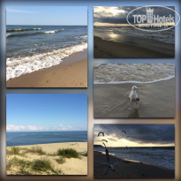 фото из отзыва ID 1390591