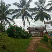 фото из отзыва ID 1390636