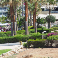 фото из отзыва ID 1390679