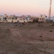 фото из отзыва ID 1390686