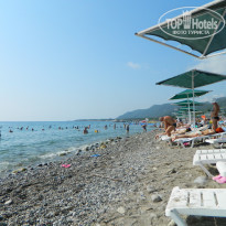 фото из отзыва ID 1390740