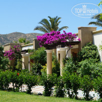 фото из отзыва ID 1390749