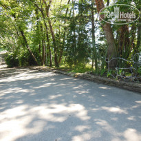 фото из отзыва ID 1390785