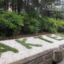 фото из отзыва ID 1390785