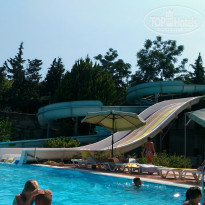 фото из отзыва ID 1390948