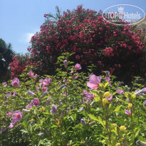 фото из отзыва ID 1391002