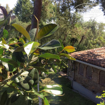 фото из отзыва ID 1391002