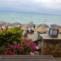 фото из отзыва ID 1391037