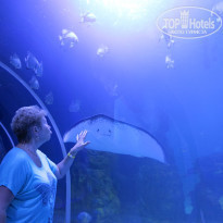 фото из отзыва ID 1391144