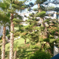 фото из отзыва ID 1390282