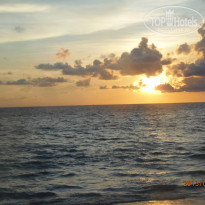 фото из отзыва ID 1391079