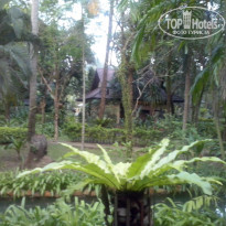 фото из отзыва ID 1391274