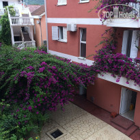 фото из отзыва ID 1391372