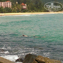 фото из отзыва ID 1391407