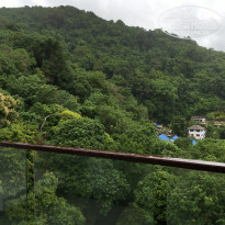 фото из отзыва ID 1391423