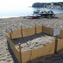 фото из отзыва ID 1391425