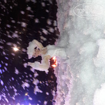 фото из отзыва ID 1391588