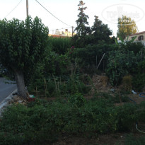 фото из отзыва ID 1391666