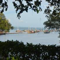 фото из отзыва ID 1391735