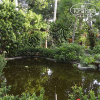 фото из отзыва ID 1391735