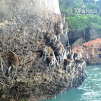 фото из отзыва ID 1391735