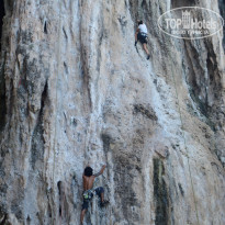 фото из отзыва ID 1391735